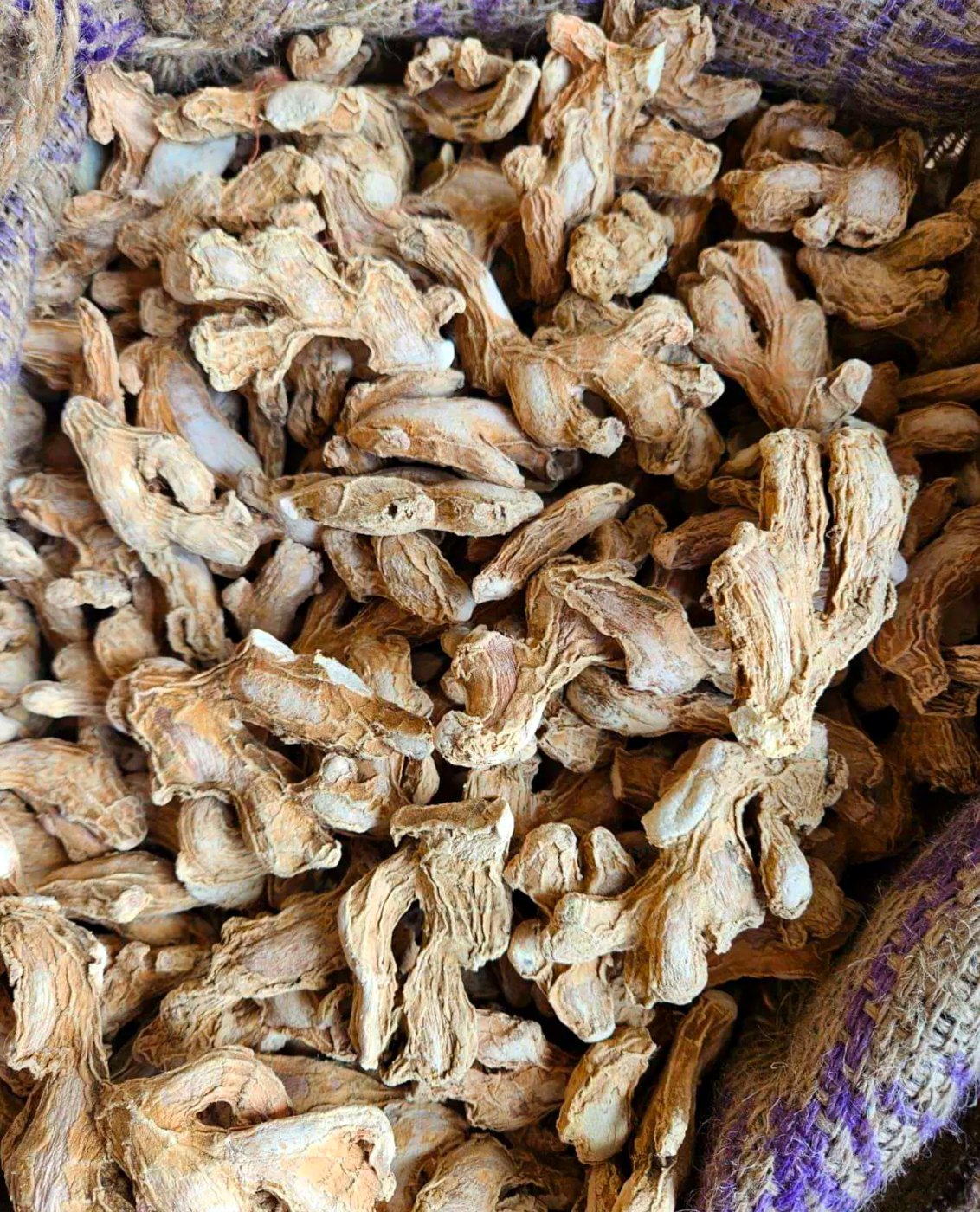 Export packing - jute sacks Dry ginger packed in jute export sacks at the MKB Enterprises facility