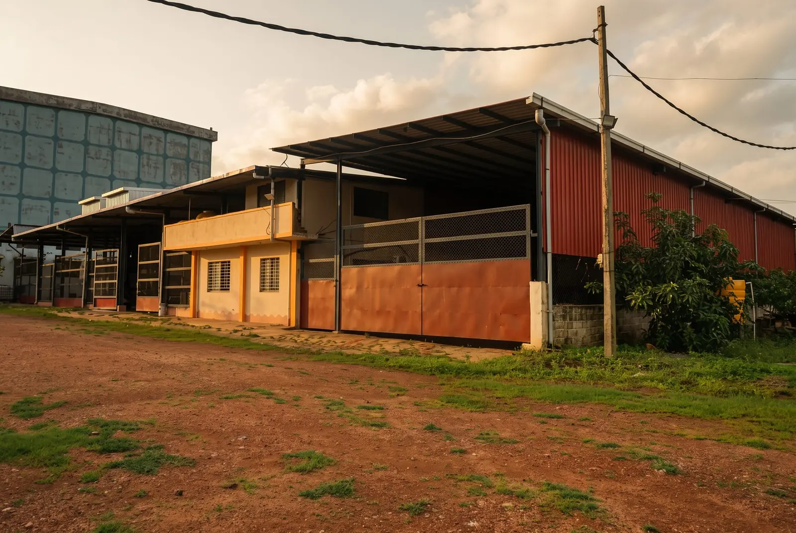 Red-roofed processing shed at the MKB Enterprises facility in golden hour light