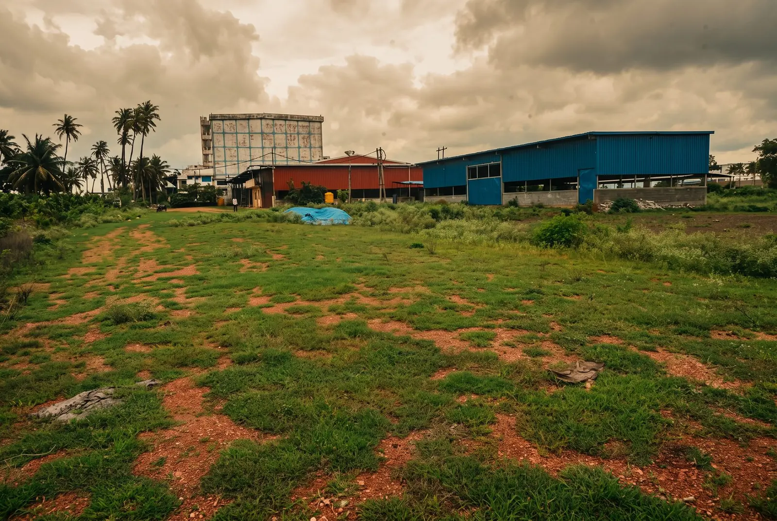 The 2.5-acre owned facility, Byadgi MKB Enterprises 2.5-acre spice processing facility yard in Byadgi at golden hour