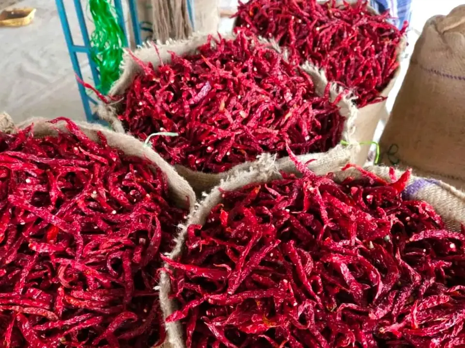 5531 dried red chillies packed in jute export sacks at the MKB Enterprises facility 5531 dried red chillies packed in jute export sacks at the MKB Enterprises facility