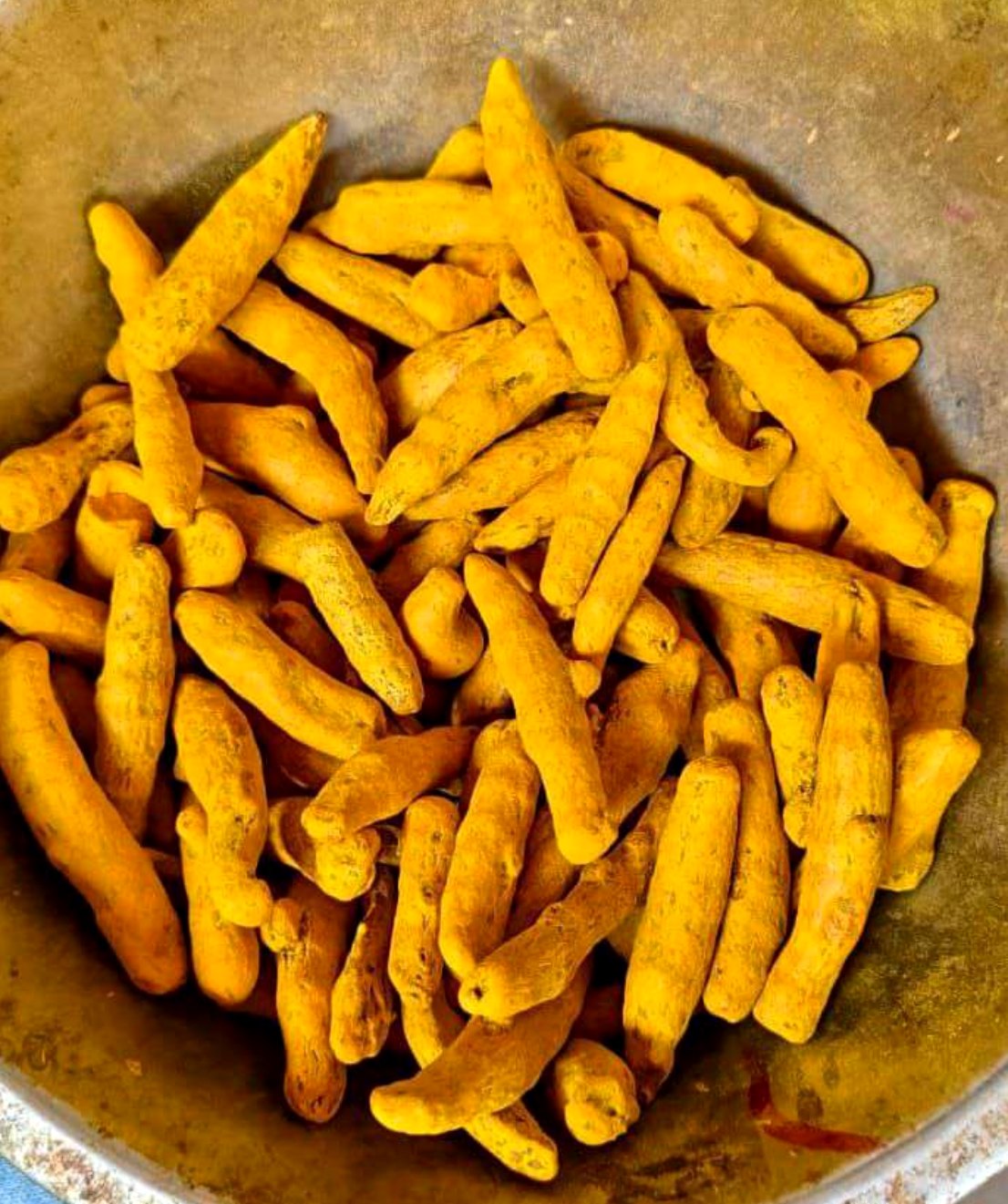 Lot sample - colour and finger character Bowl of whole dried turmeric fingers with deep golden colour