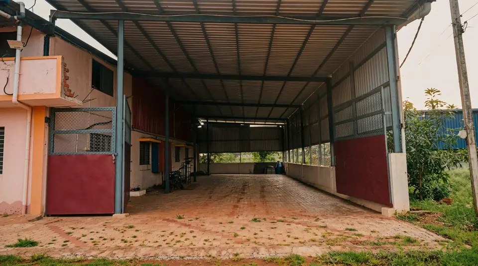 Open-sided loading bay used for despatch of export chilli consignments